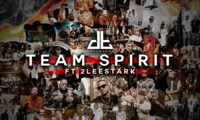 DreamTeam Team Spirit 400x240 - DreamTeam – Team Spirit