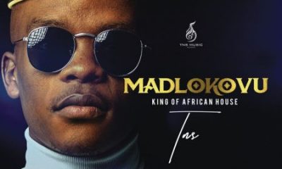 TNS Madlokovu King of African House Album Afro Beat Za 400x240 - TNS – Qina ft. BLVCK BIRD & Berita