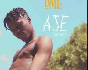 Fireboy DML   Aje cover 1 Afro Beat Za 300x240 - Fireboy DML – Aje (Cover)