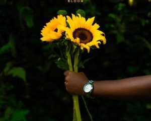 Sipho The Gift – Bloom mp3 download zamusic 300x300 Afro Beat Za 300x240 - Sipho The Gift Bloom EP
