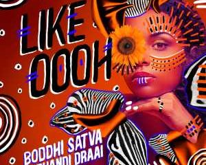 Boddhi Satva & Thandi Draai – Like Oooh