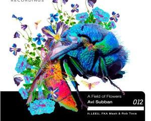 ALBUM Avi Subban – A Field of Flowers Hiphopza 300x240 - Avi Subban & FKA Mash – La Douleur Exquise