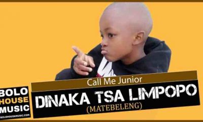 Call Me Junior – Dinaka tsa Limpopo Matebeleng hiphopza 400x240 - Call Me Junior – Dinaka tsa Limpopo (Matebeleng)