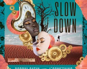 Boddhi Satva Jsomething – Slow Down Hiphopza 300x240 - Boddhi Satva & J’something – Slow Down