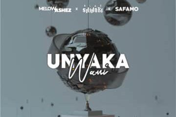 unyaka wami artwork scaled fakazadownload 360x240 - Melow Ashez – Unyaka wami ft. Blaqshinobi & Safamo