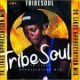 TribeSoul Bido Vega Nkulee 501 – Badimo Amadlozi mp3 download zamusic Afro Beat Za 80x80 - TribeSoul, Bido Vega & Nkulee 501 – Badimo (Amadlozi)