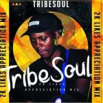 TribeSoul Bido Vega Nkulee 501 – Badimo Amadlozi mp3 download zamusic Afro Beat Za - TribeSoul, Bido Vega & Nkulee 501 – Badimo (Amadlozi)