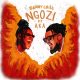 Benny Chill – Ngozi Ft. AKA 1 Hip Hop More Afro Beat Za 80x80 - Benny Chill Ft. AKA – Ngozi