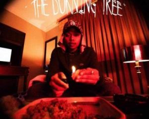 DOWNLOAD A-Reece The Burning Tree EP