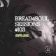 Sir LSG – Bread4Soul Sessions 103
