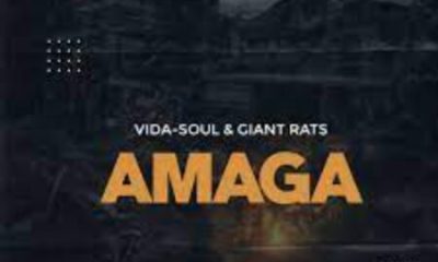 Vida-soul & Giant Rats – Amaga (Original Mix)