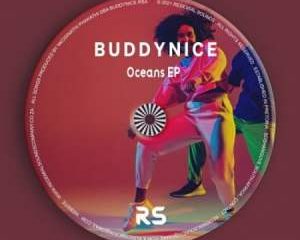 Buddynice – Idlozi Lam (Original Mix)