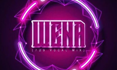 Dzo 729 & Guyu Pane – Wena (729 Vocal Mix) Ft. Sego M