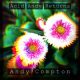 Andy Compton – Another Lover (feat. Rogiers)