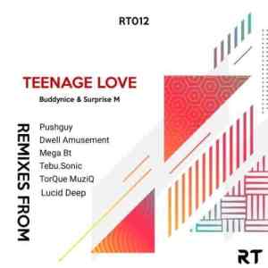 Buddynice & Surprise M – Teenage Love (Pushguy Remix)