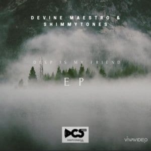 Devine Maestro & ShimmyTones – Everyday You Out There (Original Mix)
