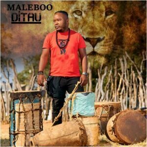 Maleboo – Ditau (Song)