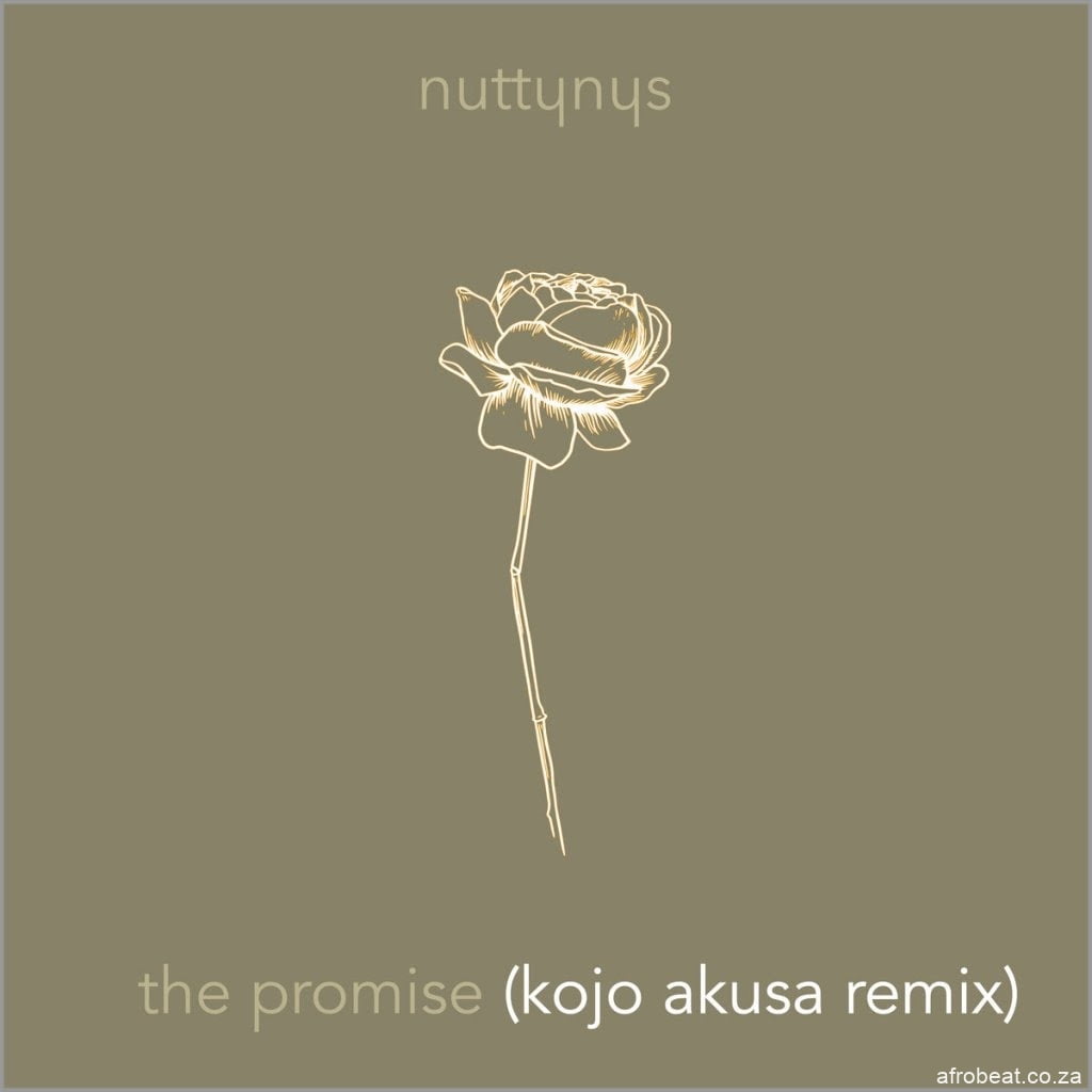 Nutty Nys – The Promise (Kojo Akusa Remix)  (Song)
